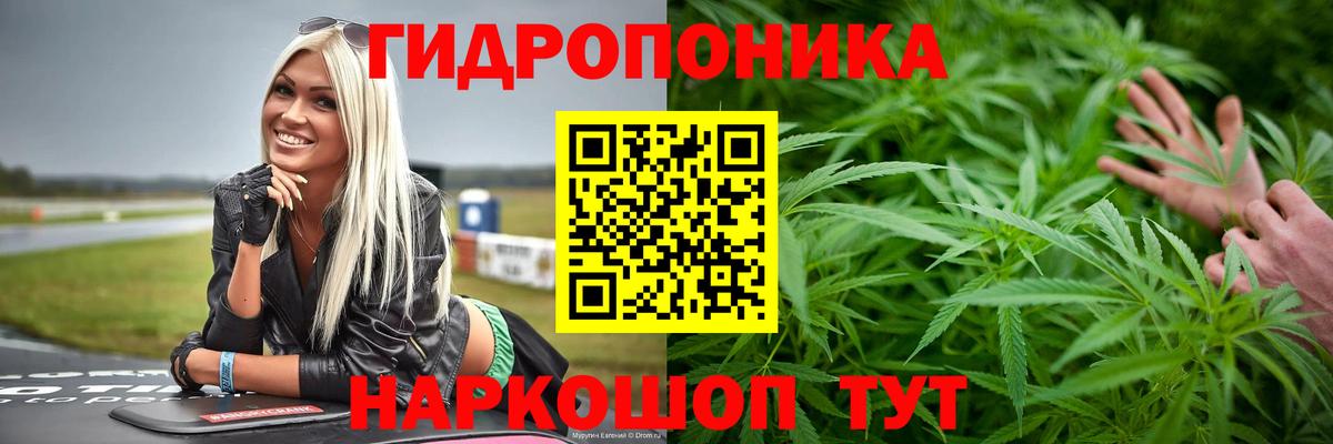 Конопля Amnesia  Шишки марихуана SATIVA & INDICA  Бошки Шишки семена  Богородицк  Вход с VPN 